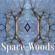 Space_Woods_Kafel